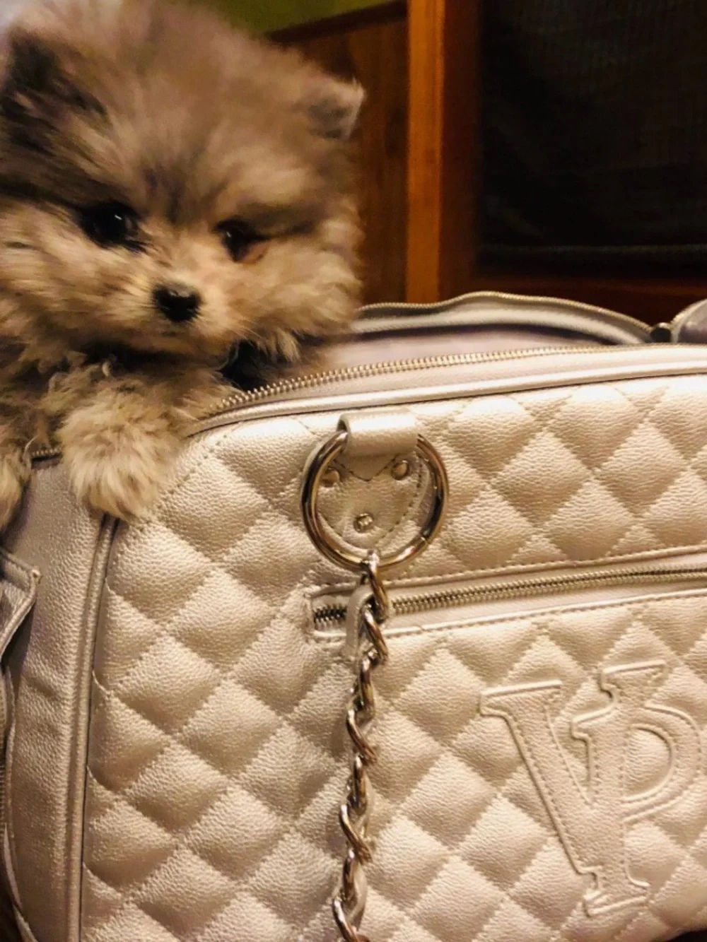 DOG 🐶 VANDERPUMP QUILTED CLASSIC LUXURY CARRIER - SILVER